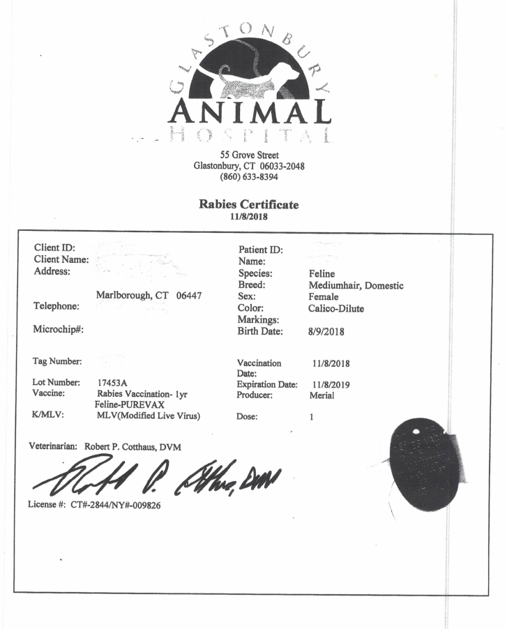 Rabies Certificates - POA SPAY!