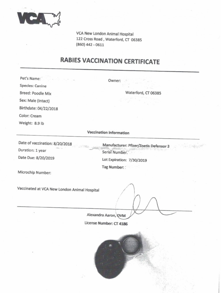 Free Printable Rabies Certificate