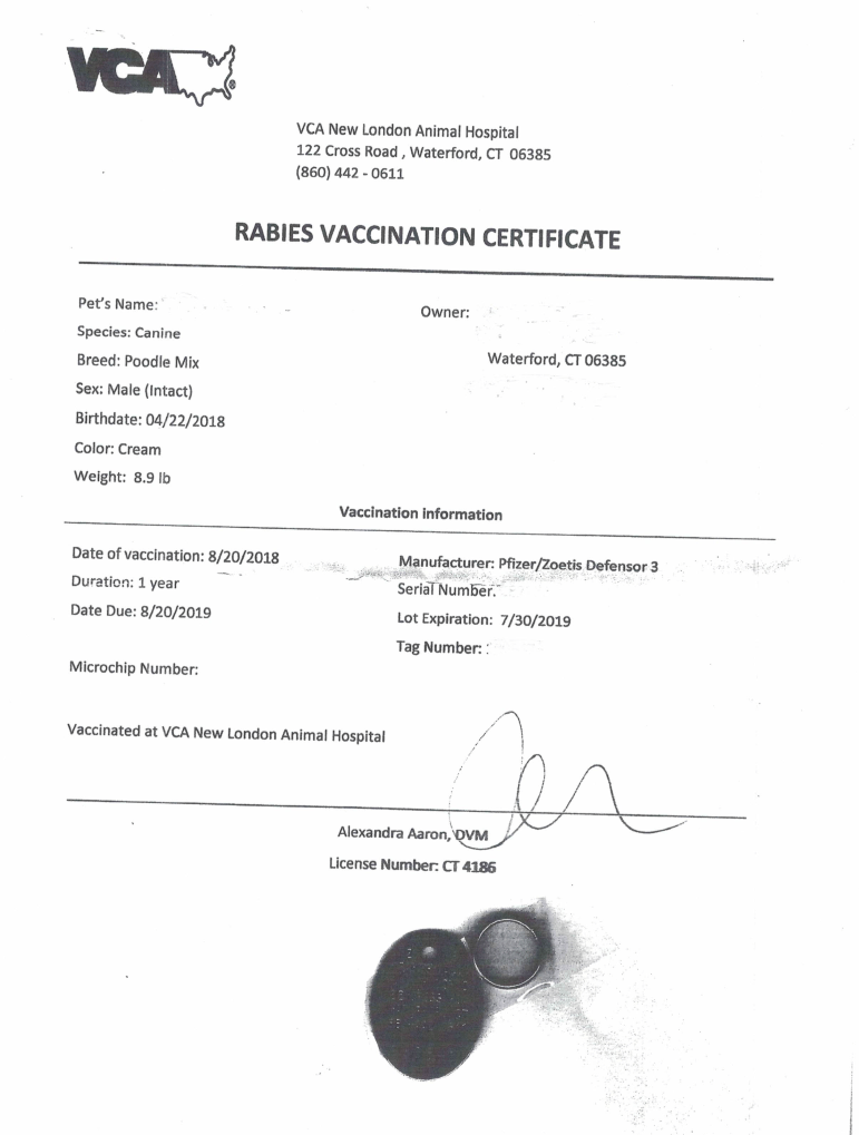 rabies vaccine certificate